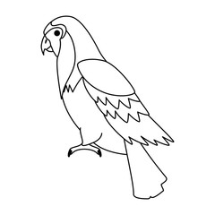 cockatoo exotic bird icon