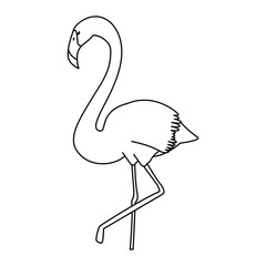 exotic bird flamingo icon