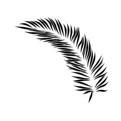 Obraz premium tropical palm leaf icon