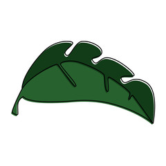tropical palm leaf icon