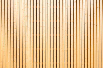 Detail of a wooden wall on a sunny day