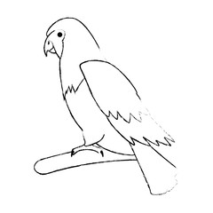 cockatoo exotic bird icon