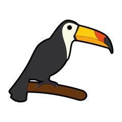 toucan exotic bird icon