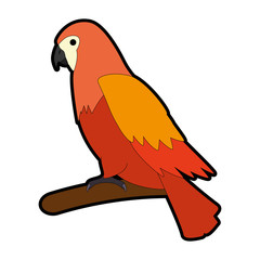 cockatoo exotic bird icon