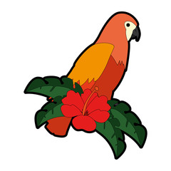 cockatoo exotic bird with flower