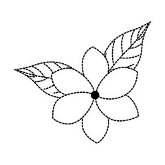 exotic and tropical flower