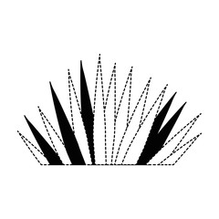 tropical palm leaf icon