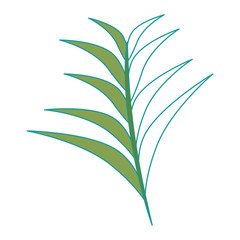 tropical palm leaf icon