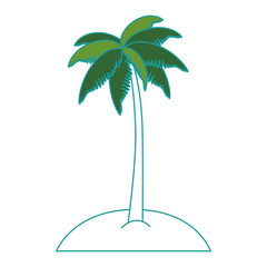 tropical palm tree icon