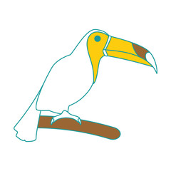 toucan exotic bird icon