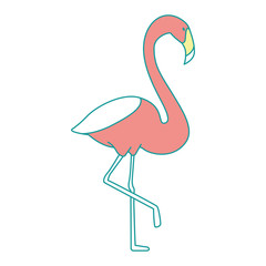 exotic bird flamingo icon
