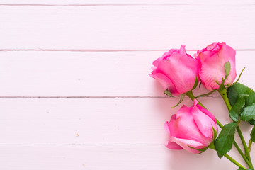 Fototapeta na wymiar pink rose in vase on wood background