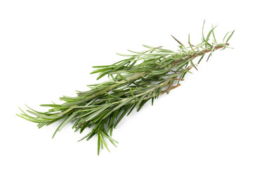 rosemary isolated on white