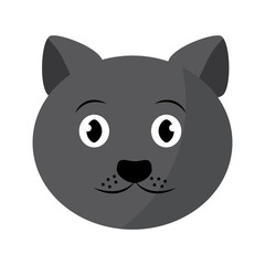 cat pet head cute animal vector illustration