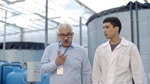 Dolly shot of young man in lab coat discussing work with senior male manager in glasses while walking in greenhouse complex