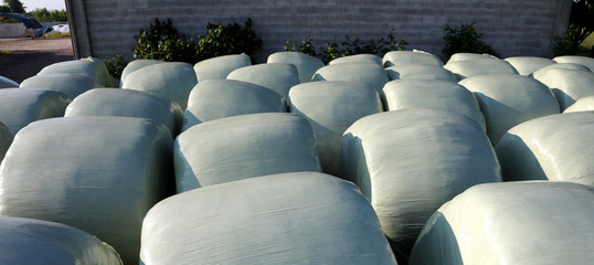 hay bales with plastic film for weather protection
