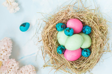 Colored Easter eggs in the nest and flowers. Space for text. Festive light Easter decoration. Easter concept.