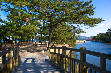 津田の松原(香川県、海水浴場)