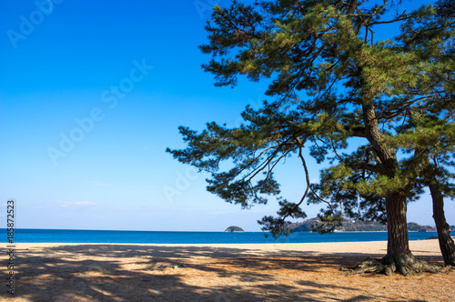 津田の松原 香川県 海水浴場 Wall Mural Wallpaper Murals Kozo 津田の松原 香川県 海水浴場 Wall Mural Wallpaper Murals Kozo