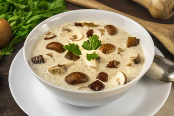 Mushroom soup with champignons, cremini, and parsley closeup