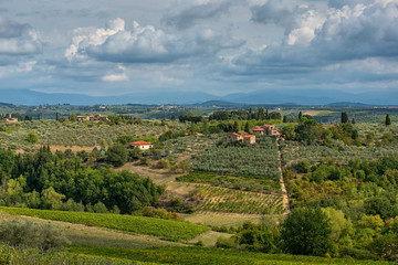 Fototapeta na wymiar Panoramic view of scenic Tuscany landscape with vineyard in the Chianti region, Tuscany