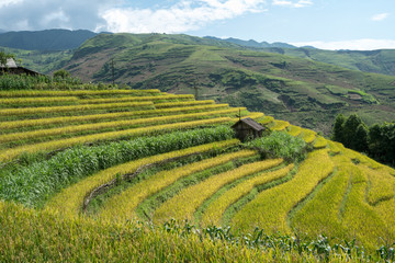 Terraced rice field landscape of Y Ty, Bat Xat district, Lao Cai, north Vietnam