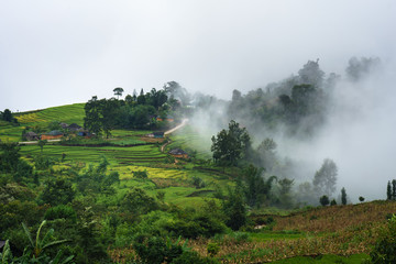 Terraced rice field landscape with misty clouds of Y Ty, Bat Xat district, Lao Cai, north Vietnam