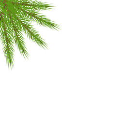 Naklejka na ściany i meble tree branches in the corner. Green lush spruce or pine branch.
