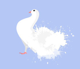 Illustration of  white dove with watercolor splashes. Vector illustration for your creativity