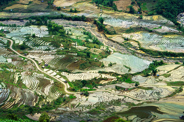 Terraced rice field in water season, the time before starting grow rice in Y Ty, Lao Cai province, Vietnam