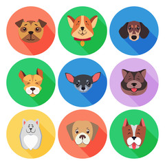 Set of Pedigreed Dogs on Colored Circle Icons