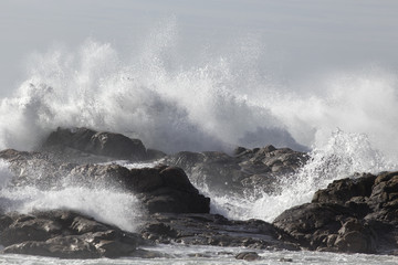 Sea wave splash