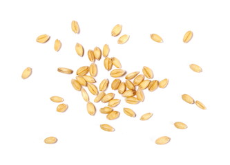 Wheat grains isolated on white background, top view