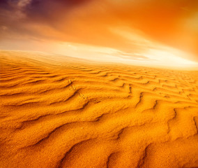 Naklejka na ściany i meble Sunset over the Sahara Desert