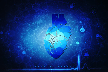 2d illustration  Anatomy of Human Heart 