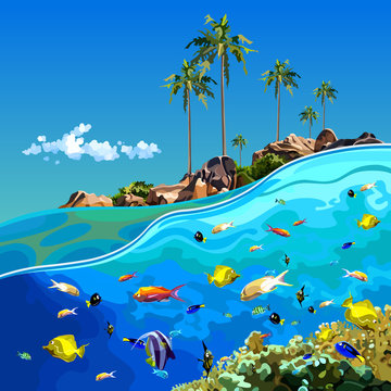 cartoon underwater world near a tropical island