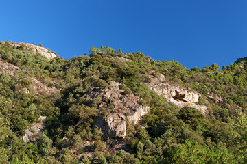 Fototapeta na wymiar Roches granitiques et pin dans la montagne de Bavella en Corse