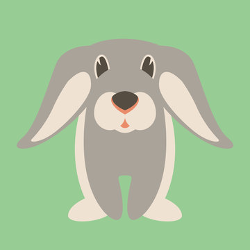 rabbit cartoon  vector illustration flat style front