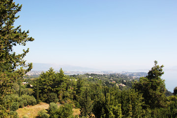 Obraz premium Summer landscape