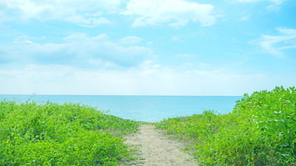Fototapeta na wymiar Blue Sea Natural Background