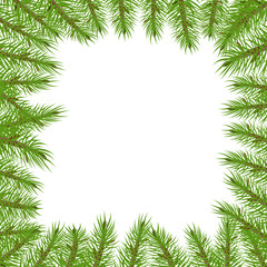 Fototapeta na wymiar branches of spruce in the form of a square frame with a green luxuriant spruce or pine branch.
