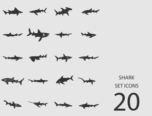 Shark set of flat icons. Vector illustration