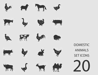Domestic animals set of flat icons. Vector illustration