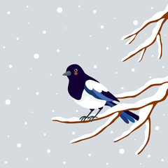 Magpie perching on a winter branch.Korean traditional Happy new year day.