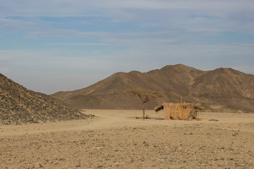Fototapeta na wymiar Cabin in the desert