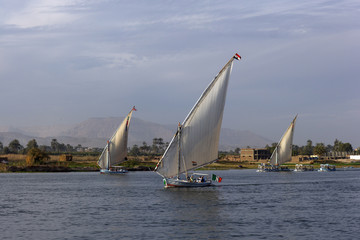 three feluccas, Nile, Egypt