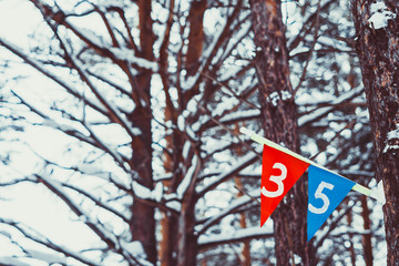 sports flags on the tree