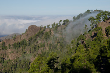 Morro del Visadero. Integral Natural Reserve of Inagua. Tejeda. Gran Canaria. Canary Islands. Spain.