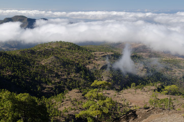 Integral Natural Reserve of Inagua and Tauro mountain in the background. Gran Canaria. Canary Islands. Spain.