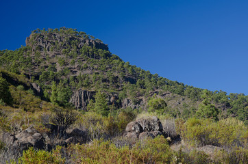 Los Hornos (Inagua) mountain. Integral Natural Reserve of Inagua and The Nublo Rural Park. Aldea de San Nicolás de Tolentino. Gran Canaria. Canary Islands. Spain.